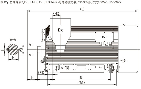 YBX3系列高效率高压隔爆型三相异步电动机